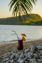 Tropical alcoholic/non alcoholic cocktail, Fiji Islands Royalty Free Stock Photo