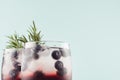 Tropical alcoholic shots of sweet berry liquor with ice cubes, blueberry, rosemary on pastel soft light green background, closeup. Royalty Free Stock Photo