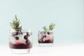 Tropical alcoholic shots of sweet berry liquor with ice cubes, blueberry, rosemary on pastel soft light green background. Royalty Free Stock Photo