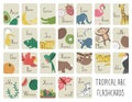 Tropical alphabet cards for children. Cute cartoon ABC set with exotic animals, birds, fruits, insects. Funny jungle flashcards