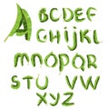 Tropical alphabet made of banana palm leaves. Hand drawn green paradice abc. Natural summer letters. Vector design Royalty Free Stock Photo