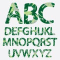Tropical alphabet made of monstera palm leaves. Hand drawn green p