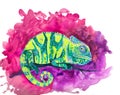 Green chameleon. Bright chameleon on a neon background beautiful print for home, t-shirts and postcards.