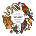 Tropical animals circle design. Hand drawn leopard, snake, hummingbird, toucan, scarlet macaw, african giant swallowtail