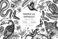 Tropical animals hand drawn illustration design. Background with sketch leopard, snake, lizard, hummingbird, toucan