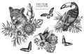 Tropical animals vintage illustrations collection. Hand drawn logo designs with leopard, hummingbird, toucan, rajah