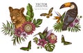 Tropical animals vintage illustrations collection. Hand drawn logo designs with leopard, hummingbird, toucan, rajah