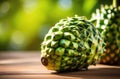tropical annona fruit, green plants on the background, exotic garden, sweetsop or custard apple,