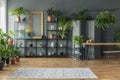Tropical apartment interior with many plants, dark walls with mo