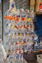 Tropical Aquarium fish and plat at Hong Kong goldfish market