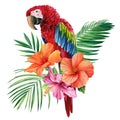 Tropical arrangement with leaves, flowers and bird, red parrot isolated white background, watercolor jungle design Royalty Free Stock Photo