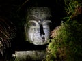 Tropical Asian Garden Fountain Statue at Night Royalty Free Stock Photo