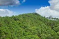 Tropical asian green mountain hill fully with forest tree