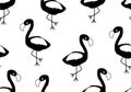 Tropical baby seamless pattern with flamingo