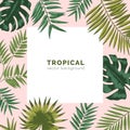 Tropical backdrop or background with frame or border made of exotic foliage or leaves jungle plants and place for text