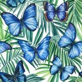 Tropical background. Blue butterfly swallowtail. Seamless pattern for textile. Watercolor painting Royalty Free Stock Photo