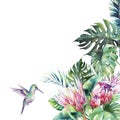 Tropical background with colibri