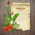Tropical background Royalty Free Stock Photo