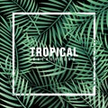 Tropical Background Vector