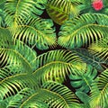 Tropical exotic seamless pattern Royalty Free Stock Photo