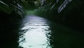 Tropical background, Flight uder the jungle green water. 3d render. Seamless loop.