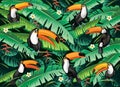 Tropical background from tropical flowers and toucans