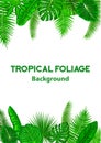 Tropical Background Frame with Exotic Jungle Leaves.