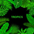 Tropical Background Frame with Exotic Tropic Leaves