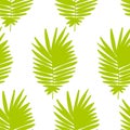 Tropical background with green hand drawn palm leaves on white. Royalty Free Stock Photo