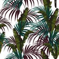 Tropical background with jungle plants. Seamless vector tropical pattern with blue palm leaves and green bananas leaves.