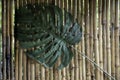 leaf on a background of brown bamboo wall Royalty Free Stock Photo