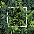 Tropical background with palm leaves, jungle plants and white frame