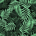 Tropical background with palm leaves.