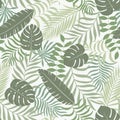 Tropical background with palm leaves.