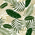 Tropical background with palm leaves.