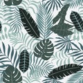 Tropical background with palm leaves.