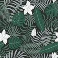 Tropical background with palm leaves.