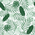 Tropical background with palm leaves.