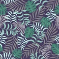 Tropical background with palm leaves.