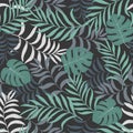 Tropical background with palm leaves.