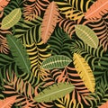 Tropical background with palm leaves.