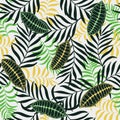 Tropical background with palm leaves.