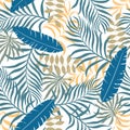 Tropical background with palm leaves.