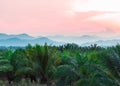 Palm trees against mountain and twilight sky. Royalty Free Stock Photo