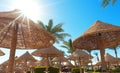 Tropical background of palm trees and umbrellas against blue sky. Royalty Free Stock Photo