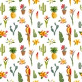 Tropical Background. Parrot Bird. Cactus Background.