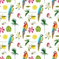 Tropical Background with Parrot Birds. Tropical Flowers Royalty Free Stock Photo