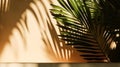 Tropical background for a product placement, palm tree leaves and sunlight shadows on the wall, minimalistic botanical backdrop, Royalty Free Stock Photo