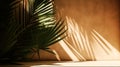 Tropical background for a product placement, palm tree leaves and sunlight shadows on the wall, minimalistic botanical backdrop, Royalty Free Stock Photo