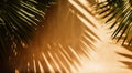 Tropical background for a product placement, palm tree leaves and sunlight shadows on the wall, minimalistic botanical backdrop, Royalty Free Stock Photo